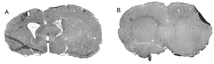 97���ʡ�(�й���)���Źٷ���վ