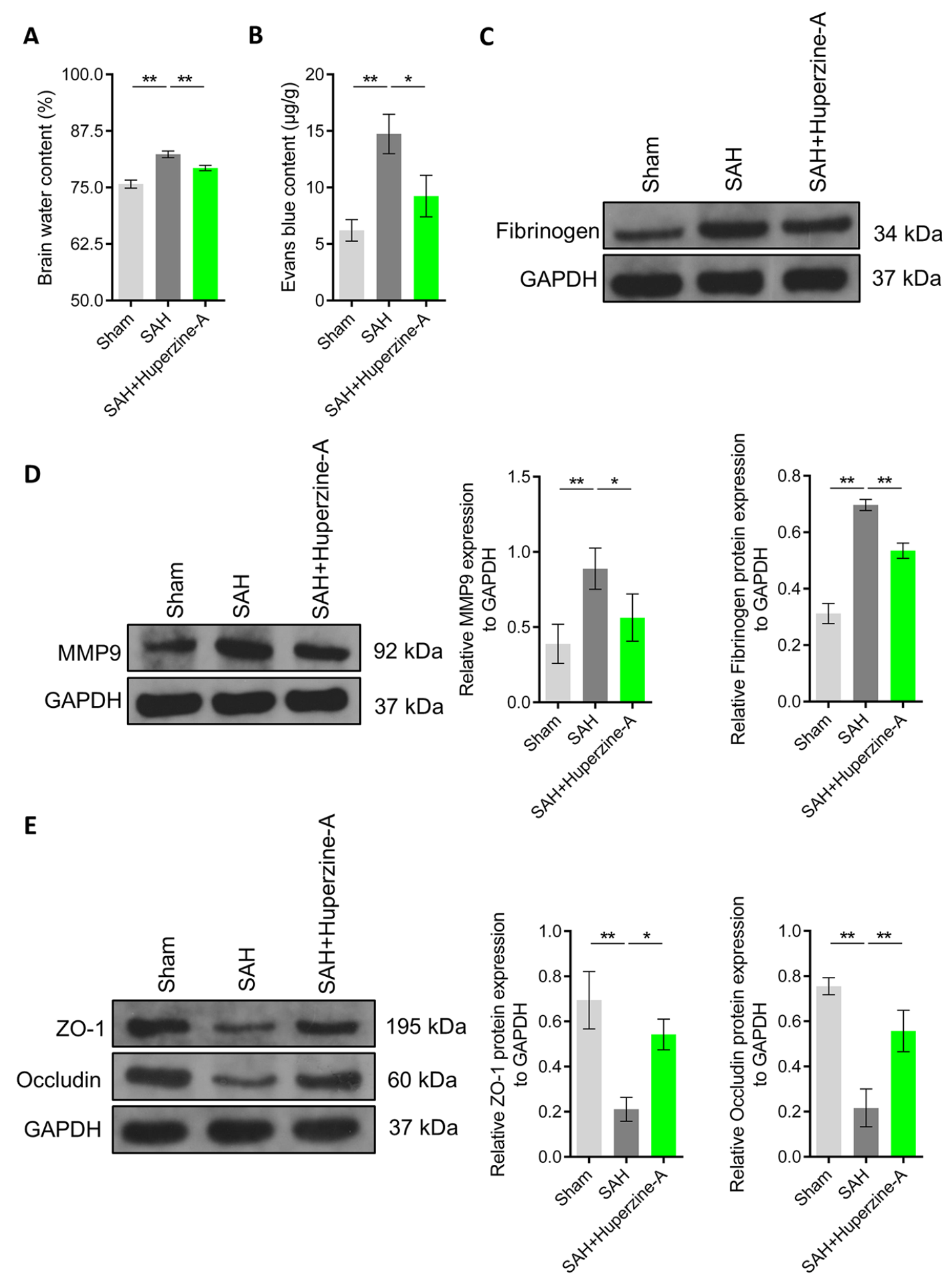 97���ʡ�(�й���)���Źٷ���վ